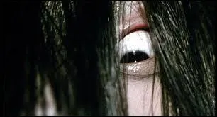 Quel est le titre de ce film ?