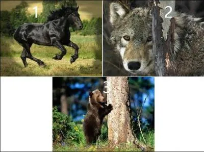 Tantôt constellation, tantôt remède, parfois un défaut en musique ou encore instrument s'opposant au bélier.