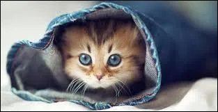 "Regarder" au passé simple deuxième personne du pluriel donne :