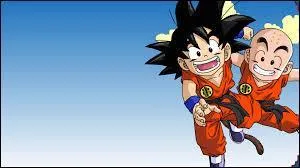 Quel est le nom de ce manga ?