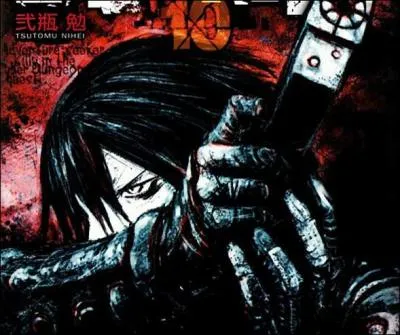 Quel est le nom de ce manga ?