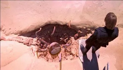 Combien de temps le sarlacc met-il pour digérer ce qu'il mange ?