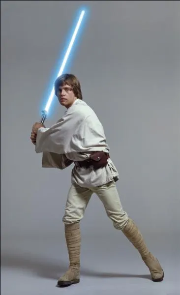 Qui élève Luke Skywalker jusqu'à ce que les Stormtroopers n'attaquent et ne détruisent sa maison ?