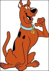 Quelle est la phrase fétiche de Scooby ?