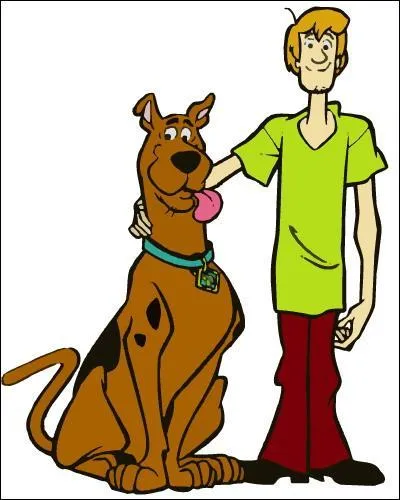Quel est le mot qui conviendrait très bien à Sammy et Scooby ?