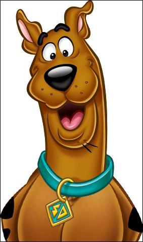 Quiz Scooby-doo