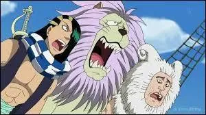 Qui sont les plus fidèles compagnons de Baggy ?