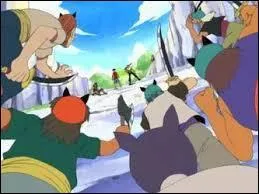 Qui sont les plus fidèles compagnons de Kuro ?