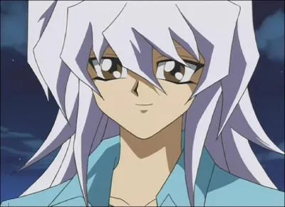 Bakura possède :