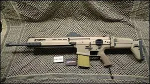 Quel est le le nom du pistolet sur l'image ?