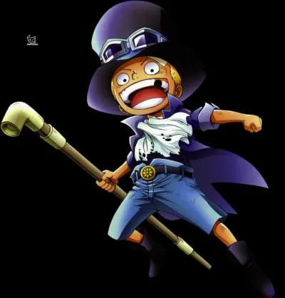 Quelle est l'origine de Sabo ?