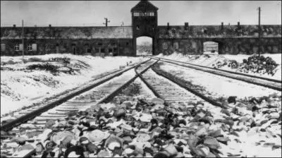 Construit en 1940, en Pologne, sous la directive d'Heinrich Himmler, ce camp d'extermination est le plus grand de son époque, et le plus connu à cause de ses sinistres records d'exécutions par jour. Libéré le 27 janvier 1945 par quatre militaires soviétiques, le monde comprit l'horreur du génocide. On raconte que Eisenhower, général américain, aurait été choqué. C'est...