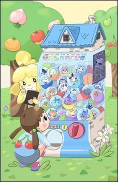 Qu'est-ce qu'une "CR" ? (ACNL)