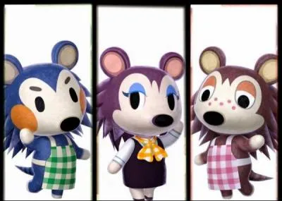 Comment s'appelle la boutique de vêtements et d'accessoires ? (ACNL)