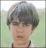 Qui a appris à Andrew Garvey la bonne manière de tricher ?