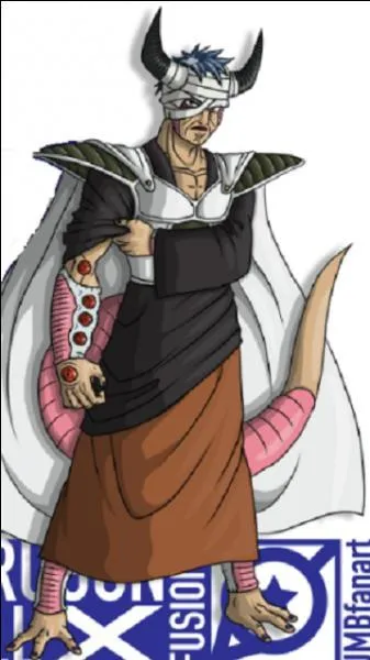 De quels personnages s'agit-il ?