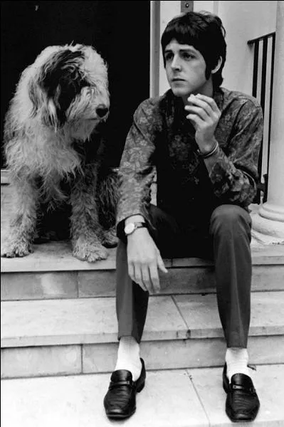 Quelle est la race de Martha, la chienne de Paul McCartney ?