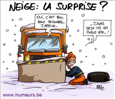La neige s'était mise à tomber ...