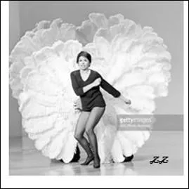 En 1965 Line Renaud reprend la revue du Casino de Paris jusqu'en 1970, quelle star la remplace jusqu'en 1973 ?