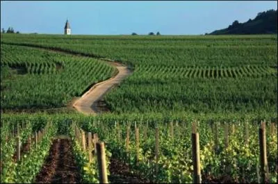 Quel bien français est entré au patrimoine mondial de l'UNESCO ?