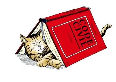 Dans le Code civil, le statut juridique des animaux a changé. Comment sont-ils qualifiés ?