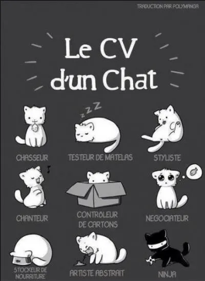 Si vous regardez la photo, les chats font-ils tous cela ou non ?