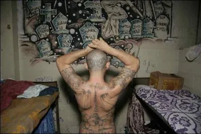 8, 6 personnes par jour meurent assassinées au Salvador pays de 6 millions d'habitants. La ville appartient aux gangs de jeunes et la ville et le pays entier sont découpés en zones officieuses où se sont implantés les gangs. Mais comment s'appellent ces gangs de jeunes qui terrorisent un pays entier ?