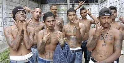 Ce pays est dévoré par la violence et ses enfants s'entretuent à qui mieux mieux. Les chauffeurs d'autobus sont assassinés pour une poignée de dollars et les gangs de rue, ici aussi, font la loi. Mais quel est ce pays où même les jeunes de 7-8-ans surveillent pour les plus vieux et où le quartier Mezquital est un des plus dangereux au monde ?