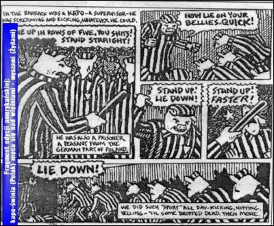 Pour quelle raison Vladek a-t-il été protégé par le kapo durant les 2 mois qui ont suivi son arrivée à Auschwitz ?