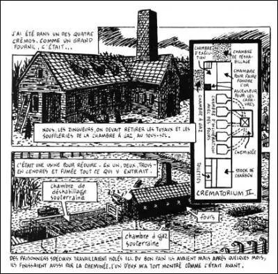 Vladek a été (plusieurs possibilités) :