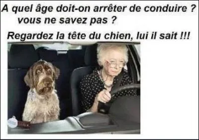 Dans quel pays trouve-t-on la plus vieille ou le plus vieux conducteur du monde ?