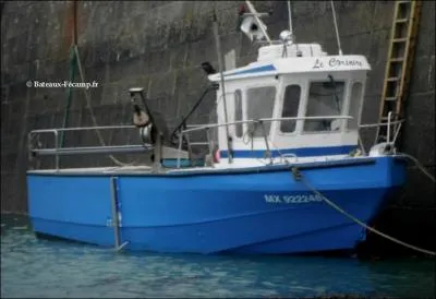 "Le Corsaire" a l'air bien sage, il vient pourtant de la ville de Brigitte Fontaine (MX) ! Quelle est cette ville ?