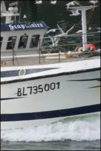 D'où vient le "Scapulaire" (imm. : BL 735001) ?