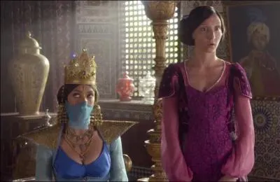 Comment Aladin vient-il demander la main de la princesse, la seconde fois ?