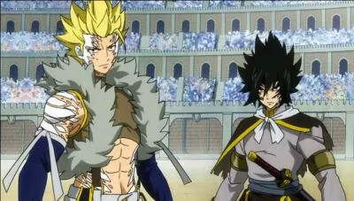 Sting et Rogue sont surnommés :