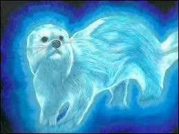 A qui appartient ce patronus ?