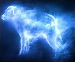 A qui appartient ce patronus ?