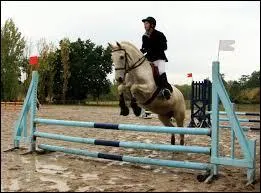 Comment se nomme cet obstacle ?