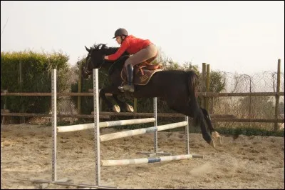 Comment se nomme cet obstacle ?