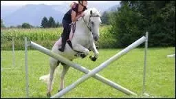 Comment se nomme cet obstacle ?