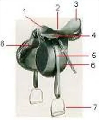 Comment se nomment les parties 1 et 2 de la selle ?