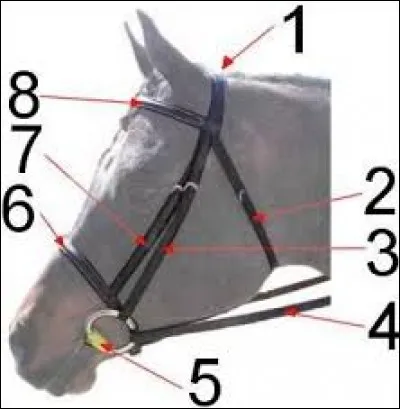 Comment se nomment les parties 1 et 6 du filet ?