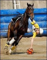 Quelle est cette discipline équestre ?