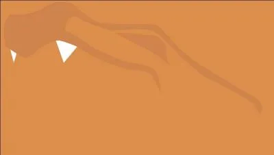 Quel est ce Pokémon ?