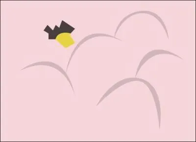 Quel est ce Pokémon ?