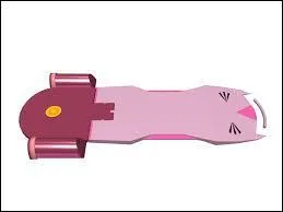 À qui appartient l'Overboard ?