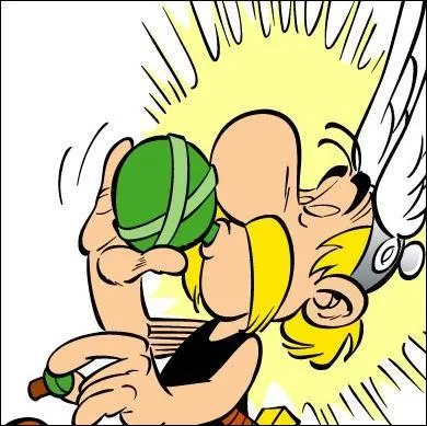 Qui prépare la potion magique ?