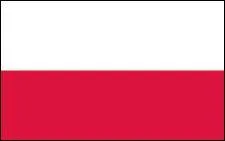 La Suisse doit s'allier de force avec la France pour combattre ...