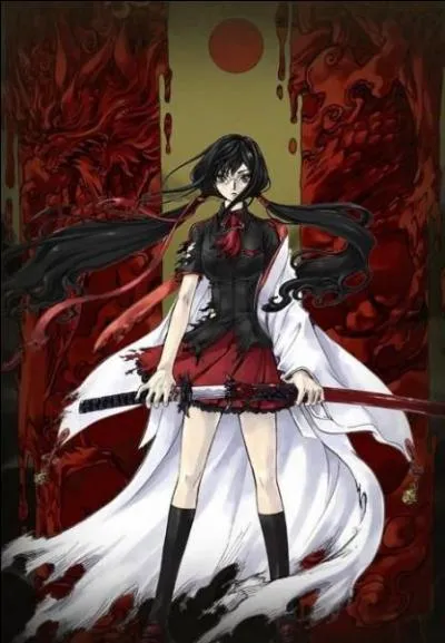 Quel est le nom de ce manga de type shonen surnaturel, et qui est à l'origine un light novel ?