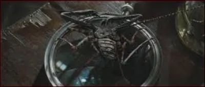 Quel est le sortilège impardonnable de contrôle ?